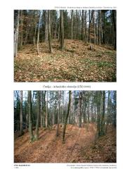 Arheološko območje v Črmlji 1